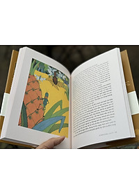 product-img-3