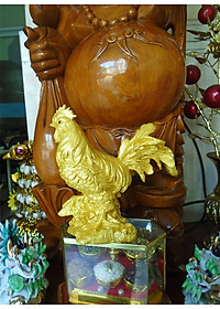 product-img-4