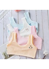 Bộ 5 áo lót học sinh nữ vải cotton dây bản to không đệm mút thoáng mát - ao lot hoc sinh nu day to