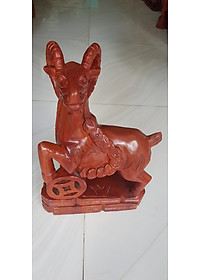 product-img-8
