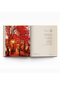 product-img-14