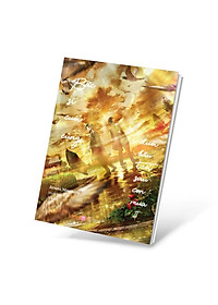 product-img-2