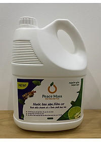 Combo Sản Phẩm Gốc Thực Vật LSB2 Peace Mass - Nước Lau Sàn TD Chanh Sả - Bạc Hà 3.6l + Nước Rửa Tay 340ml (Thuộc nhóm Sản phẩm Lành tính )