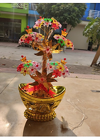 product-img-2