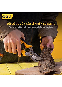 Kéo Cắt Tỉa Cành Cây Deli Chính Hãng 210mm - Lưỡi Thép Sắc Bén, Siêu Bền, Tay Cầm Đệm Cao Su An Toàn, Chắc Chắn - DL2789