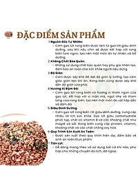 CƠM GẠO LỨT RONG BIỂN TÂN LỘC PHÁT COMBO 2 HŨ - MỖI HŨ 500G