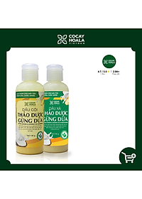 Bộ dầu gội thảo dược gừng dừa Cocayhoala trị gàu trị rung tóc kích thích mọc tóc làm mềm mượt phục hồi hư tổn dung tích 90g/chai