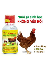 product-img-3