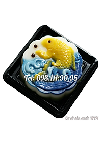 product-img-2