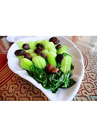 Hạt Giống Cải Thìa ( Cải Bẹ Lớn - Cải Chíp ) 20Gr- Trồng Rau Xanh Rau Sạch Bằng Đất Sạch, Mùn Dừa Và Phân Hữu Cơ - Phú Nông