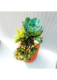 product-img-3