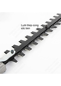 product-img-8