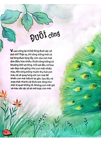 product-img-9