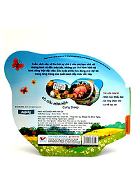 product-img-4
