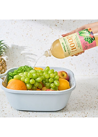 Combo Nước Ngâm Rau 1L Và Nước Rửa Bát Sinh Học 850ml ENZYCO