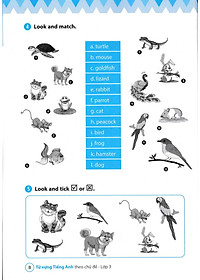 Sách Từ Vựng Tiếng Anh Theo Chủ Đề Lớp 3