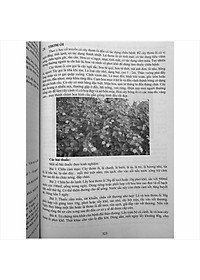 product-img-10