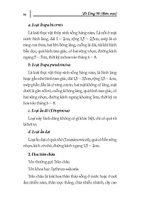 product-img-10