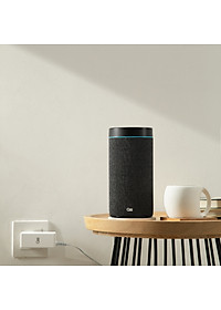 Loa thông minh OLLI MAIKA - Đen Nguyên Bản - Hàng Chính Hãng