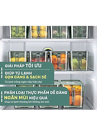 Hộp Đựng Thực Phẩm 3L Có Nắp Tách Nước Và Tay Cầm Tiện Lợi – Hộp Bảo Quản Đồ Ăn Tủ Lạnh - Hộp Lạnh - HÀNG CHÍNH HÃNG MINIIN