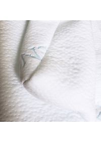 Cặp Vỏ Gối Memory Foam Tencel A - 50x30x10/8cm