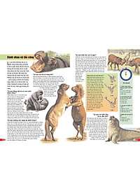 Sách Bách Khoa Tri Thức Cho Trẻ Em - Câu Hỏi Và Trả Lời (Tái Bản)