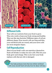 Oxford Read and Discover 6 Your Amazing Body