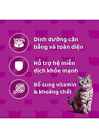 Hộp 12 Gói Pate Cho Mèo Lớn Vị Cá Biển Whiskas Adult 80g