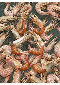 Tôm Khô Tôm Đất Đặc Sản Cà Mau - Hộp 152 GRAM