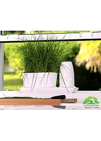 product-img-10
