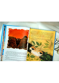 product-img-7