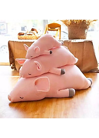Gấu bông Heo Làm Biếng đang ngủ siêu Kute