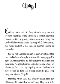 product-img-11
