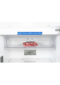product-img-12
