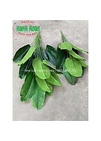 product-img-8