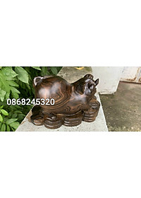 product-img-5