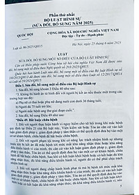 Bộ Luật Hình sự  - Bộ Luật Tố Tụng Hình Sự ( Sửa đổi, bổ sung năm 2025 )