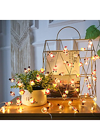 product-img-6