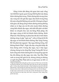 product-img-14
