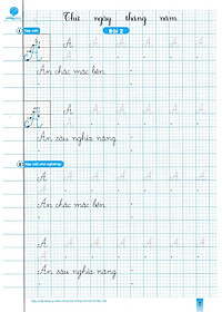 product-img-3