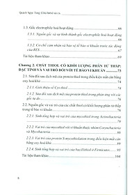 product-img-5