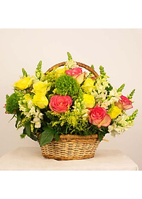product-img-1