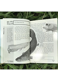 Sách 10 Vạn Điều Lý Thú Về Động Vật - Những Loài Ngộ Nghĩnh