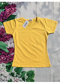 Áo thun nữ trơn cổ tim tay ngắn thun cotton 4 chiều form ôm body MXM ( ANU007 )