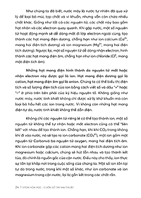 product-img-7