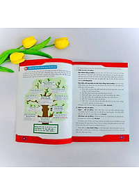 product-img-8