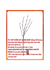 product-img-3