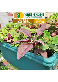 Hạt Giống Rau Dền 3 Màu Greenhome, Gói 20g~7000 hạt, Dễ Trồng Quanh Năm, Nảy Mầm Cao, Thu Hoạch Nhanh, Năng Suất Cao R15
