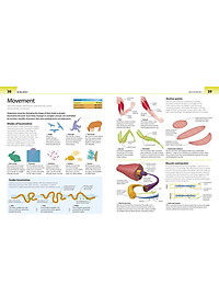 Sách Help Your Kids with Science