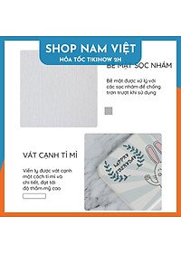 Miếng Lót Ly, Đế Lót Đá Xốp Diatomite Siêu Thấm Hút